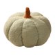 thumbnail image 1 of Liquidación de cojines de sofá TACILIP, 1 pieza de peluche de calabaza, cojines decorativos de otoño con forma de calabaza, bonitos cojines, regalos para decorar la habitación., 1 of 6
