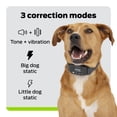 thumbnail image 4 of Collar GPS para vallas para perros Premier Pet Circular Wireless Boundary, 4 of 6