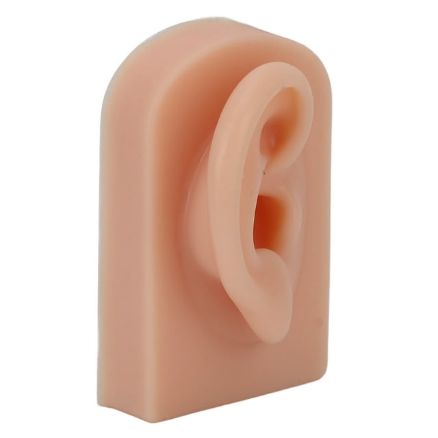 Fake Ear Model, Soft Silicone Human Ear Model Right Ear Flexible Multi Purpose For Earrings Display For Acupuncture Practical Training Light Complexion,Dark Complexion,Brown