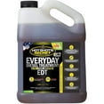 thumbnail image 1 of Hot Shots HSSEDT01G 1 gal Secret Everyday Diesel Additif de Traitement, 1 of 1