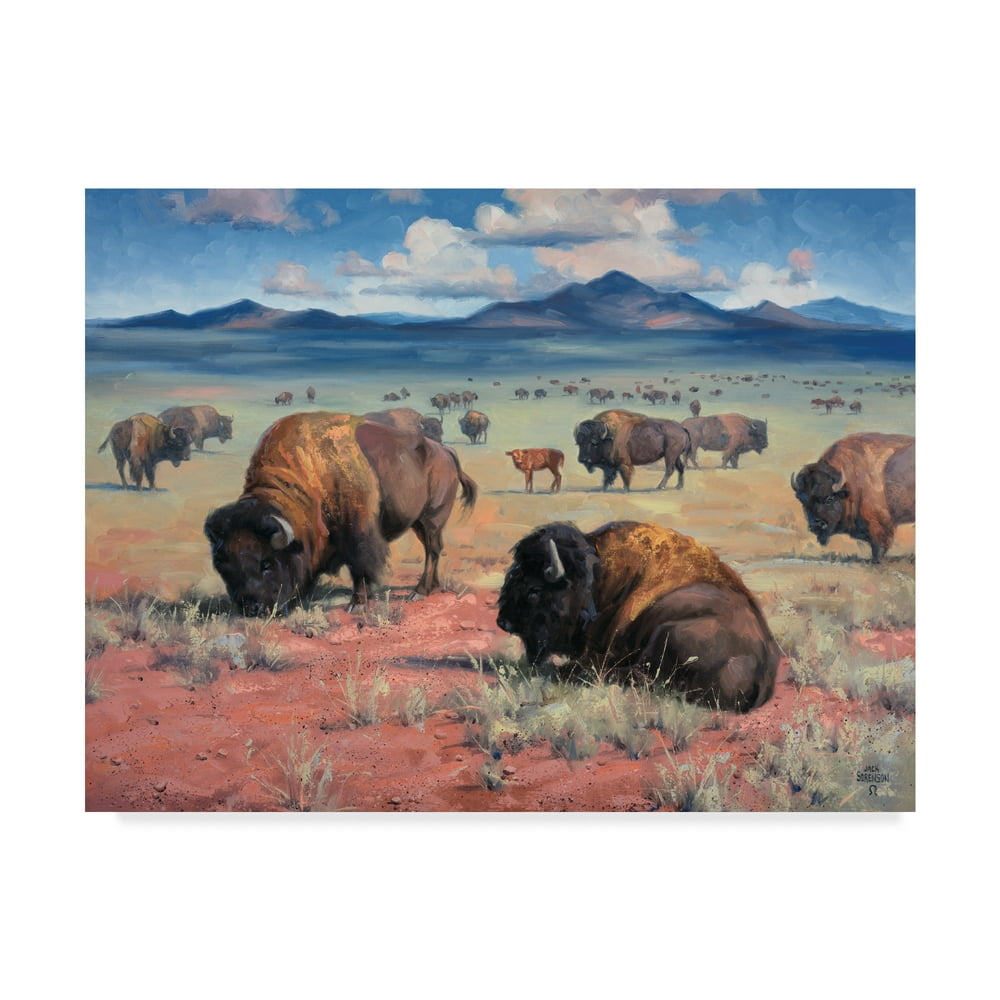 Trademark Fine Art 'Home on the Range' Canvas Art by Jack Sorenson