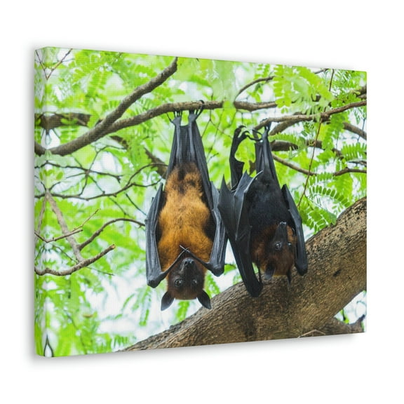Couple Flying Bat Hanging on a Tree Print Animal Wall Art Wildlife Canvas Prints Wall Art Ready to Hang Unframed