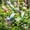 16Pcs, variant on Colorful Dragonfly Garden Ornaments, Realistic 3D Yard Decor, Kids Garden Gift, Plant Stakes
