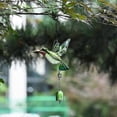 thumbnail image 2 of 3 Pack Crystal Prism Ball Indoor Window Crystals Window Ball, Hummingbird Sunlight Ball Prisms, Hanging Crystals Ornament Decoration For Home, Garden, 2 of 5