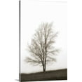 thumbnail image 1 of Great BIG Canvas | "Lone Tree In The Mist" Canvas Wall Art - 32x48, 1 of 2