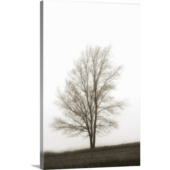 Great BIG Canvas | "Lone Tree In The Mist" Canvas Wall Art - 32x48