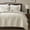 Beige, variant on WDCOZY Textured Quilt Set, 100% Cotton Lightweight Bedspread Comforter with 2 Pillow Shams, Breathable All Season Bedding for Bedroom Guest Room, White