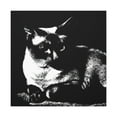 thumbnail image 4 of Feline Fauvist Companions - Canvas, 4 of 25