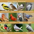 thumbnail image 6 of Blue Seal Song Maker Supreme Premium Bird Seed - Attracts Wide Variety of Wild Birds- Convenient Shell-Free Mix - 8 Pound Bag - New, 6 of 8