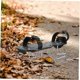 thumbnail image 5 of 26pcs Shoes Spikes For Ice Aerator Shoes Spikes For Women Lawn Aerator Shoes Spikes Silver Lawn Sho, 5 of 5