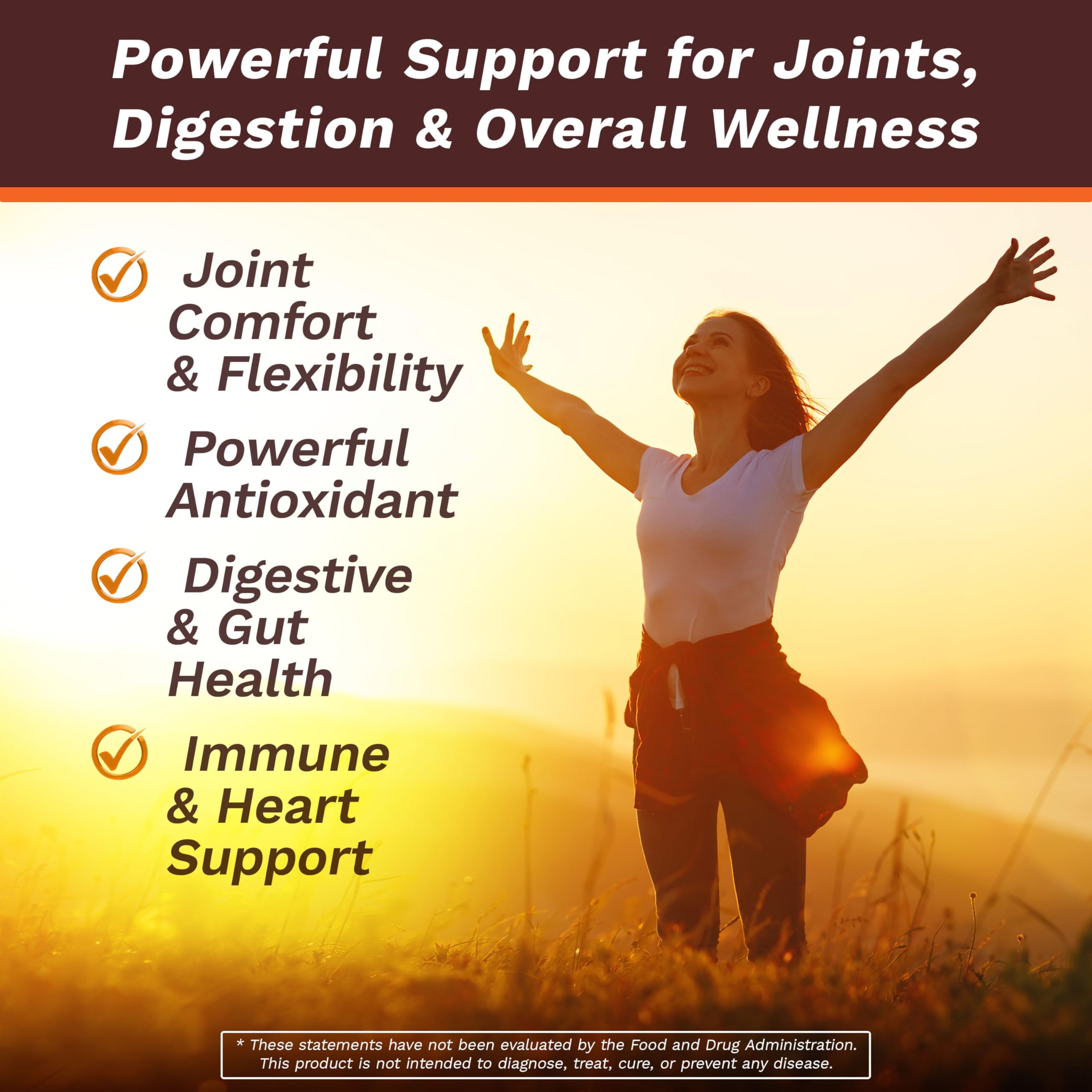 Life's Fortune Turmeric Curcumin Dietary Supplement 750mg 180 Vegetarian Capsules - Turmeric Curcumin Tumeric Capsules Natural Wellness Formula