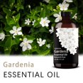 thumbnail image 2 of Aceite esencial FRAOIL Gardenia 120 ml para humidificador difusor, 2 of 8