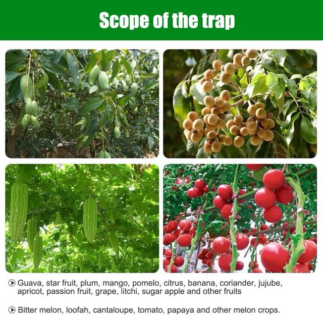 Fruit Fly Trap Killer Plastic Yellow Drosophila Trap Fly Catcher Control de insectos de plagas para Home Farm Orchard 20x9.5cm