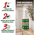 thumbnail image 2 of Peppermint Oil Spray for Rodents – Maximum Strength Ready to Use Peppermint Spray for Rodent, Mice, Squirrels – Indoor, Outdoor & Car Engine Protection – 16 oz, 2 of 5