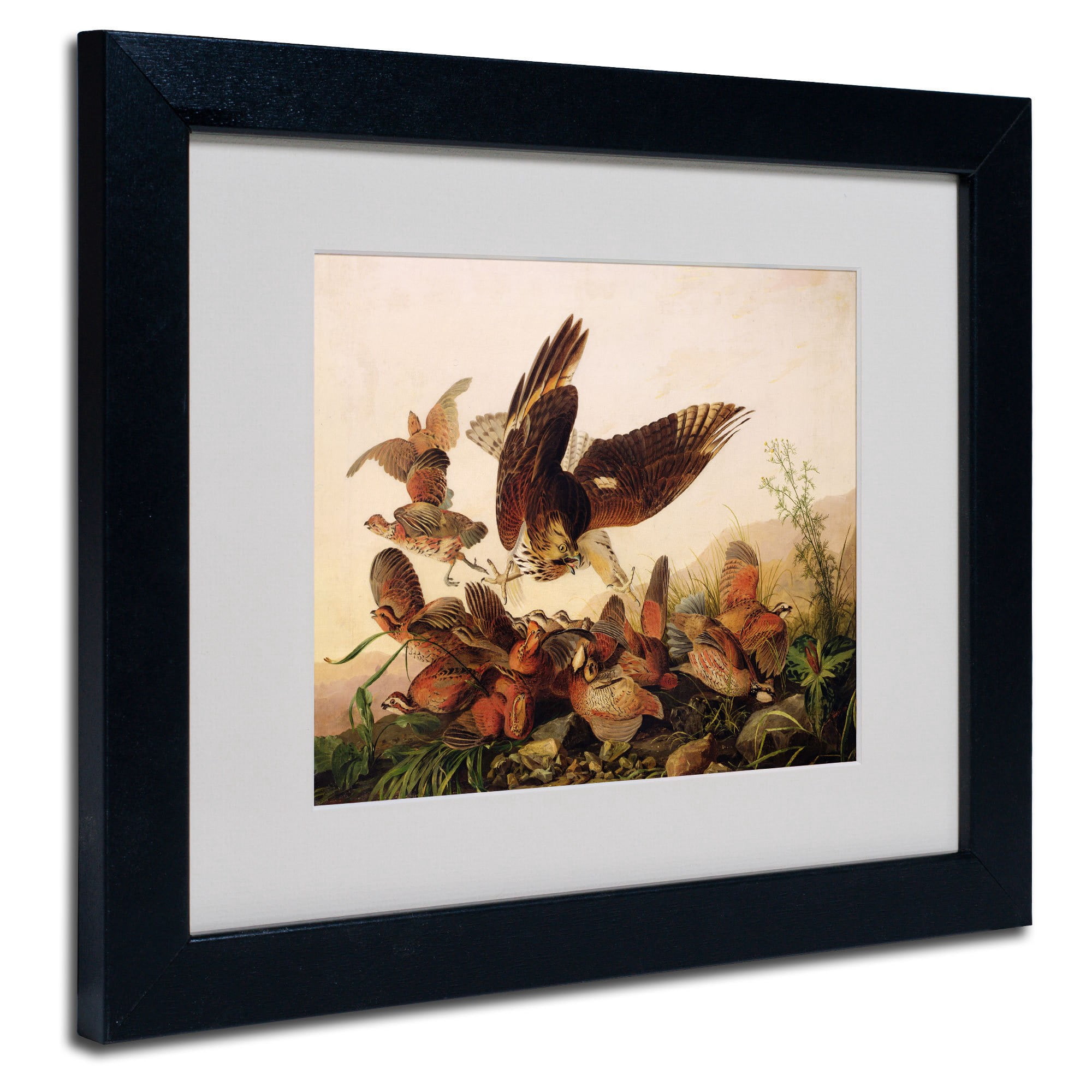 Trademark Fine Art "Red-Shouldered Hawk" Canvas Art by John James Audubon, Wood Frame