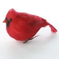 thumbnail image 4 of Plump Artificial Feathered Red Cardinal Bird by Factory Direct Craft, 4 of 4