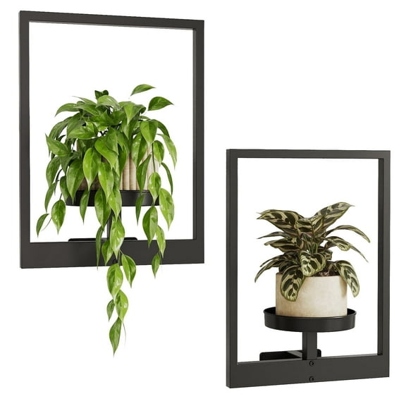 Bamworld Plant Stand Indoor Wall Decor Metal Plant Hanger Indoor Hanging Plant Holder Wall-Mounted Planters Outdoor Plant Rack Black 2 Pack (Patent Design)