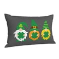 thumbnail image 2 of Disketp Pillow Covers Spring St Patrick’s Day Pattern Throw Pillow Case Cushion Covers,Cushion For Bedroom,Couch,Home-14"X20", 2 of 9