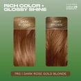 thumbnail image 4 of Tinte para el cabello Clairol Natural Instincts 7RG Rosa Dorado Oscuro Rubio, 4 of 9