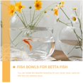 thumbnail image 4 of LOVEVER Flat Fish Tank Vase Fish Tank Clear Betta Tank Plants Pots Glass Oblate Fish Bowl Delicate Betta Tank, 4 of 6