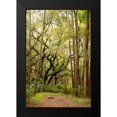 thumbnail image 2 of Mansfield, Kathy 11x14 Black Modern Framed Museum Art Print Titled - Grand Forest I, 2 of 5