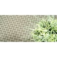 thumbnail image 3 of Furnishmyplace Union Indoor/Outdoor Commercial  Color Rug - Green, Area Rugs 2' x 3', 3 of 6