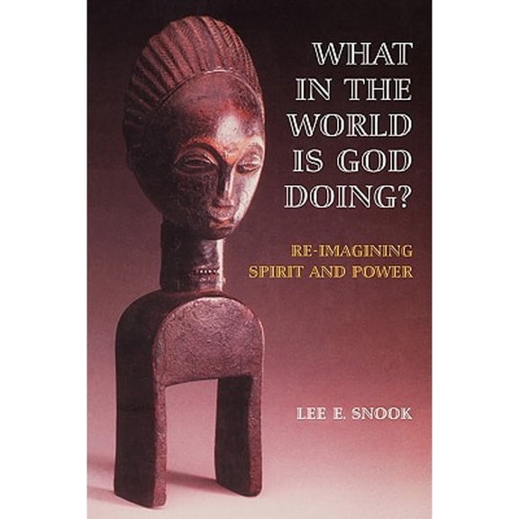 What in the World Is God Doing? (Paperback)