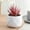 E, variant on WZXPWT Mini Artificial Plant, Fake Plants in Plastic Pots for Indoor Office Home Decor (1 PCS)