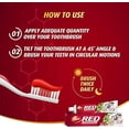 thumbnail image 3 of Dabur Dentifrice Ayurvédique Rouge, 200 g - Lot de 6, 3 of 6