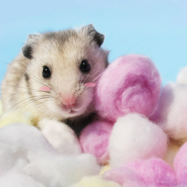 100Pcs Colorful Cotton Balls Small Animals Toys For Hamster Rat