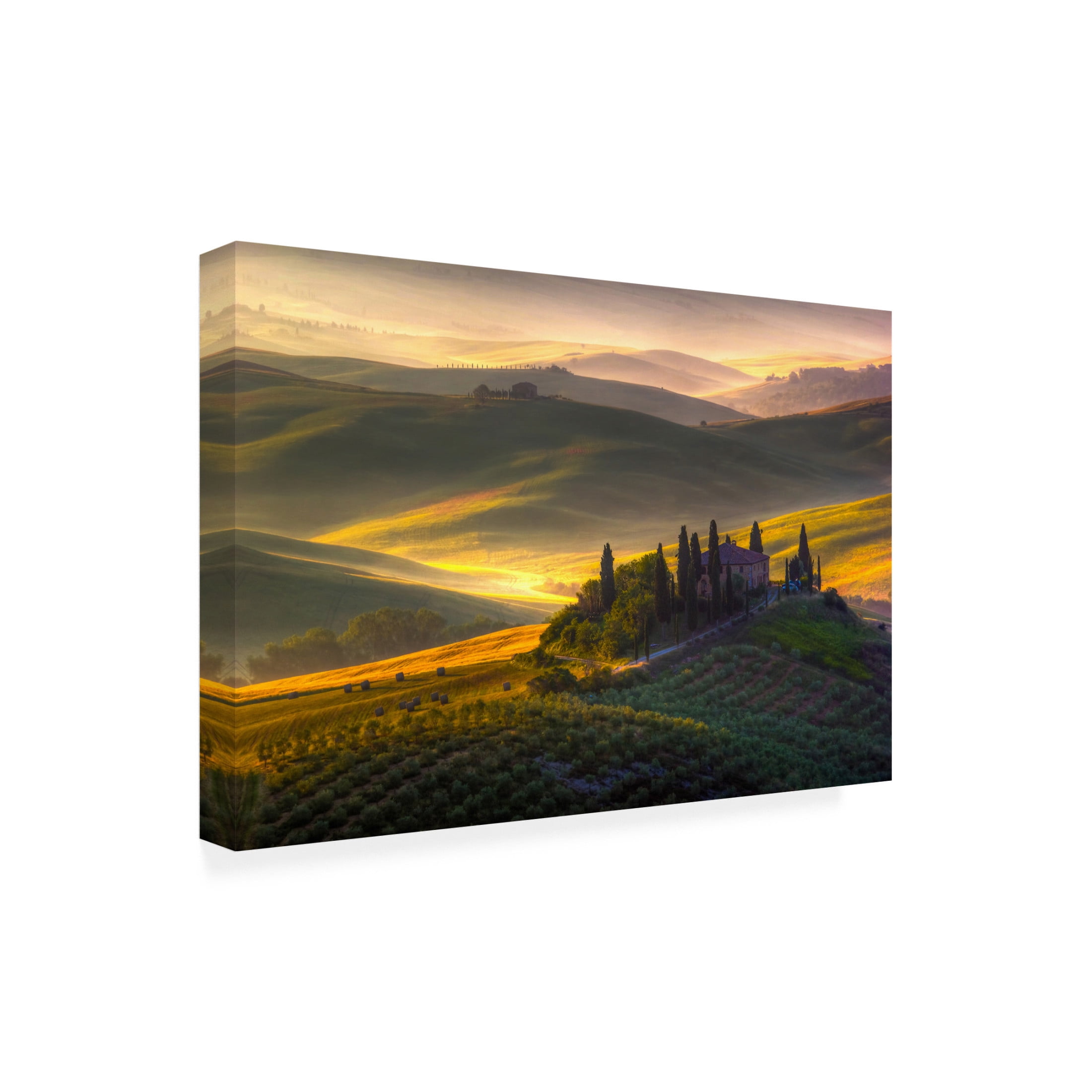 Francesco Riccardo Iacomino 'Of Green And Gold' Canvas Art - 47 x 30 Inches