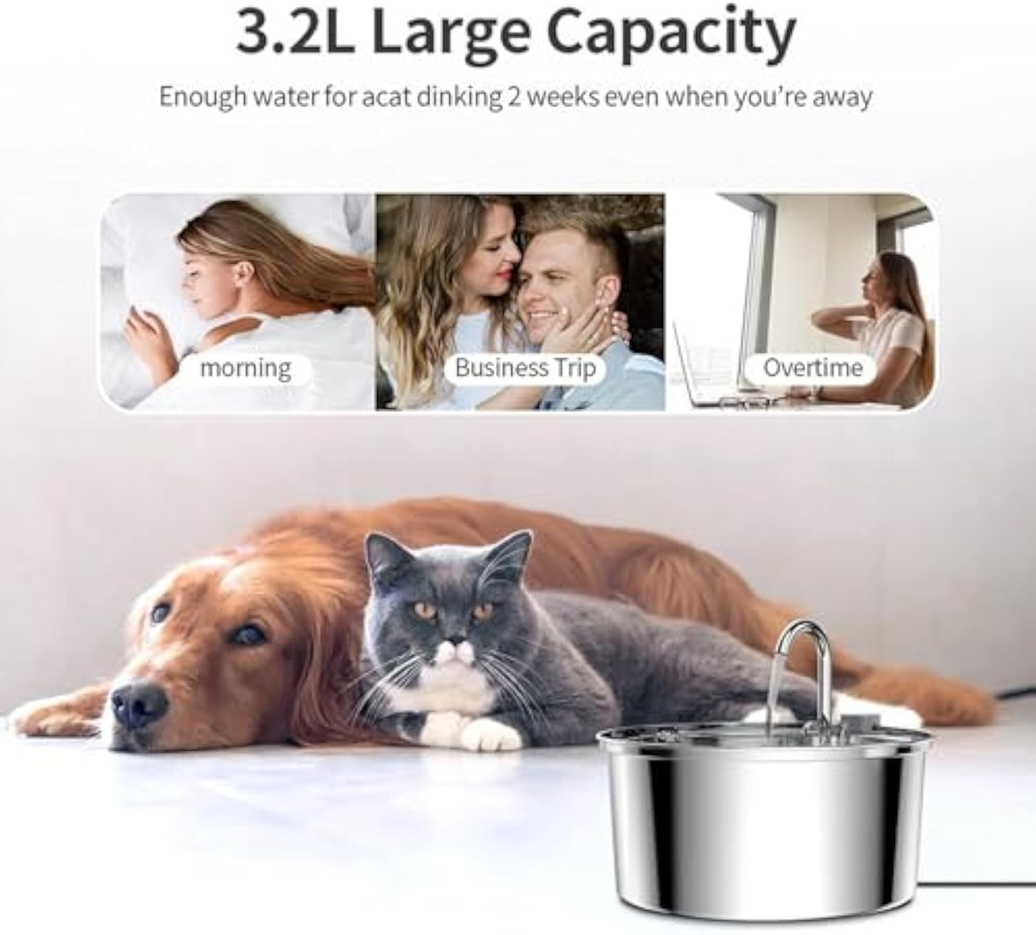 Purepaw Dog Water Fountain,Pawquench Automatic Pet Water Fountain,Cat Water Fountains,3.2L,Ultra-Quiet Stainless Steel,Deeper Drinking Area,for Dog,Cat or Pet (C)