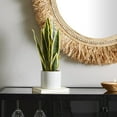 thumbnail image 2 of DecMode 17" Artificial Snake Plant in Realistic Leaves and White Porcelain Pot, 2 of 7
