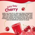 thumbnail image 5 of Snack Pack Sugar Free Cherry Flavored Juicy Gels 4 Count Snack Cups (Pack of 6), 5 of 5