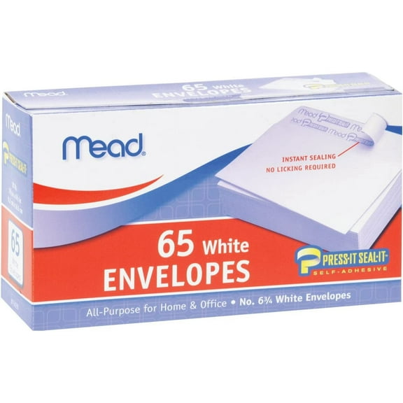 Boxed Peel & Stick Envelopes 3.625"X6.5" 65/Pkg-Regular #6