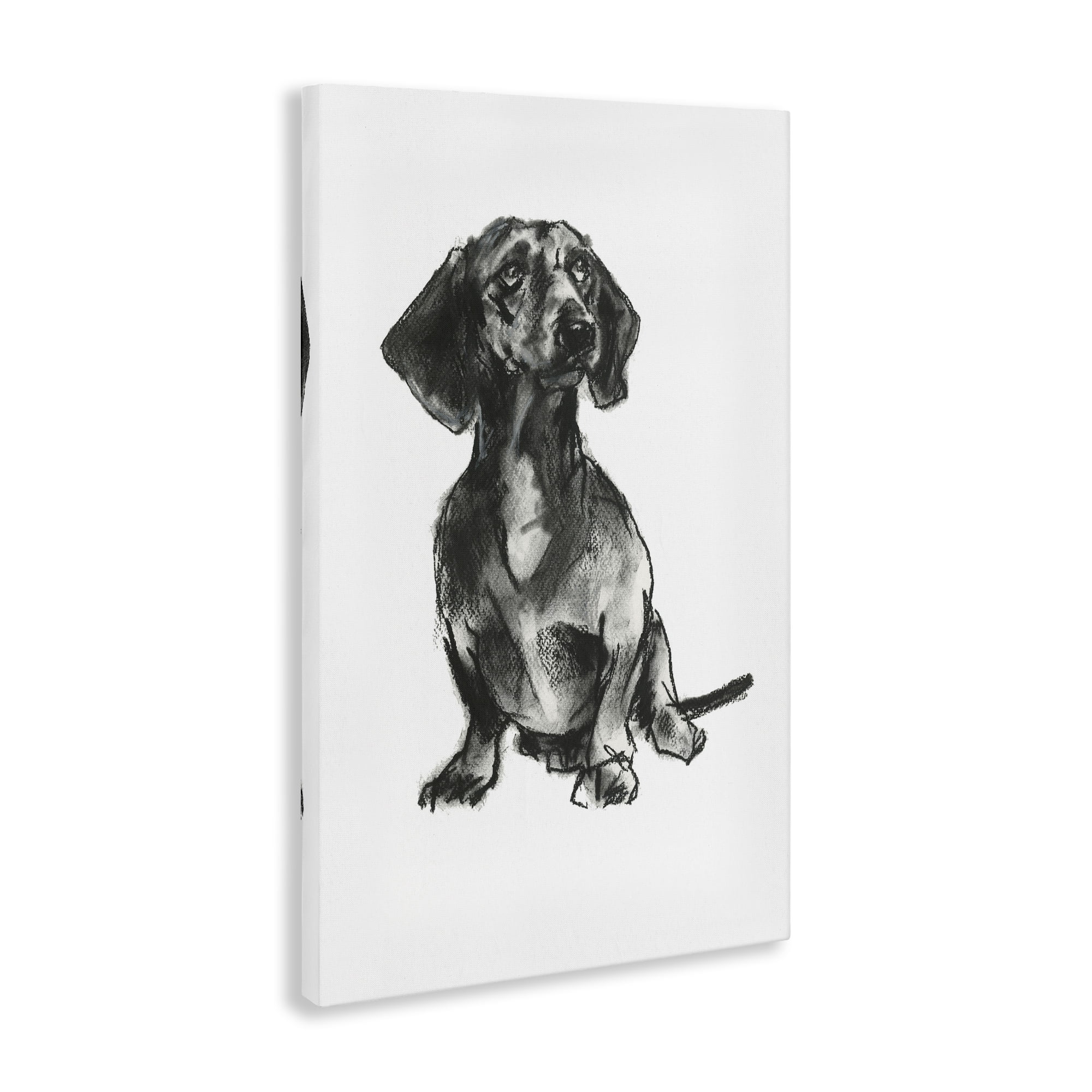 Stupell Industries Dachshund Sitting Drawing Animals & Insects Drawing Gallery Wrapped Canvas Art Print Wall Art, 20 x 30