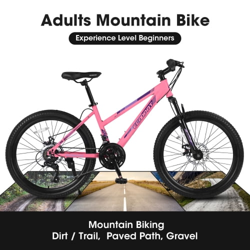 RAISTYW 26 inch Mountain Bike for Womens, 21 Speed with High-Carbon Steel Frame Bike for Adults, Dual Disc Brake, Pink