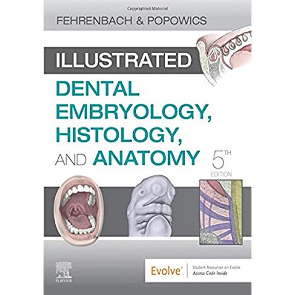 Pre-Owned Illustrated Dental Embryology, Histology, and Anatomy (Paperback) 0323611079 9780323611077