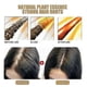 thumbnail image 4 of 1-3pcs Natural Ginger Hair Regrowth Shampoo Bar, Promotes Hair Growth, Anti Hair Loss Shampoo Soap, 4 of 5