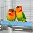 thumbnail image 3 of Colorido soporte para percha para pájaros, plataforma de madera Natural, patio de juegos, pulido de patas, limpio para mascotas, loros, periquitos, 3 of 6