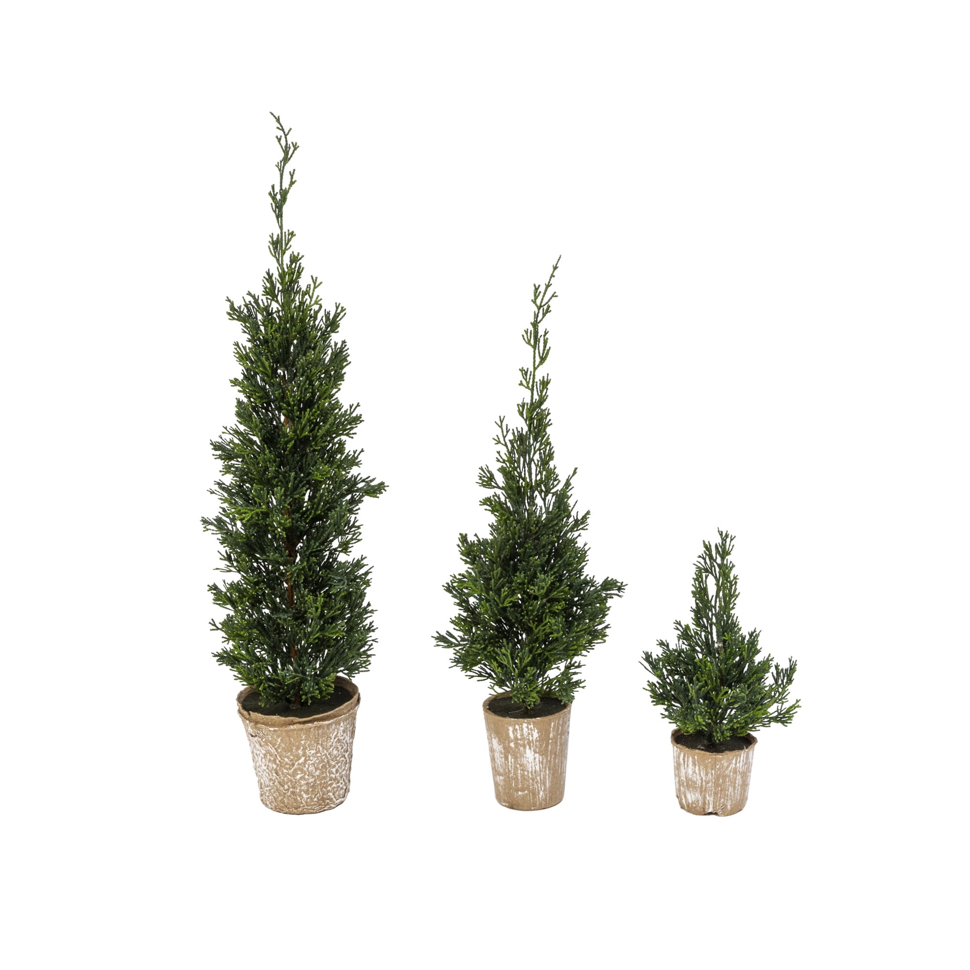 Gerson Set of 3 slim potted Christmas trees