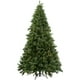 Northlight 7,5 'arbre de Noël Artificiel de Pin en Cachemire Ashcroft Pré-Éclairé - Lumières Claires Toujours Éclairées – image 1 sur 4