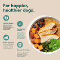 thumbnail image 5 of Jinx Puppy Cage-Free Chicken, Brown Rice, & Sweet Potato Dry Dog Food, 4 lb Bag, 5 of 12