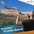 thumbnail image 4 of Shofar Halleluyah Kudu original kosher totalmente pulido de Israel, 4 of 7