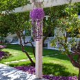 thumbnail image 7 of 2/4 Pack Artificial Hanging Flowers Fake Hanging Plants Violet Flowers Vine Garland for Spring Summer Home Indoor Outdoor Garden Patio Yard Room Porch Wedding Décor, 7 of 7