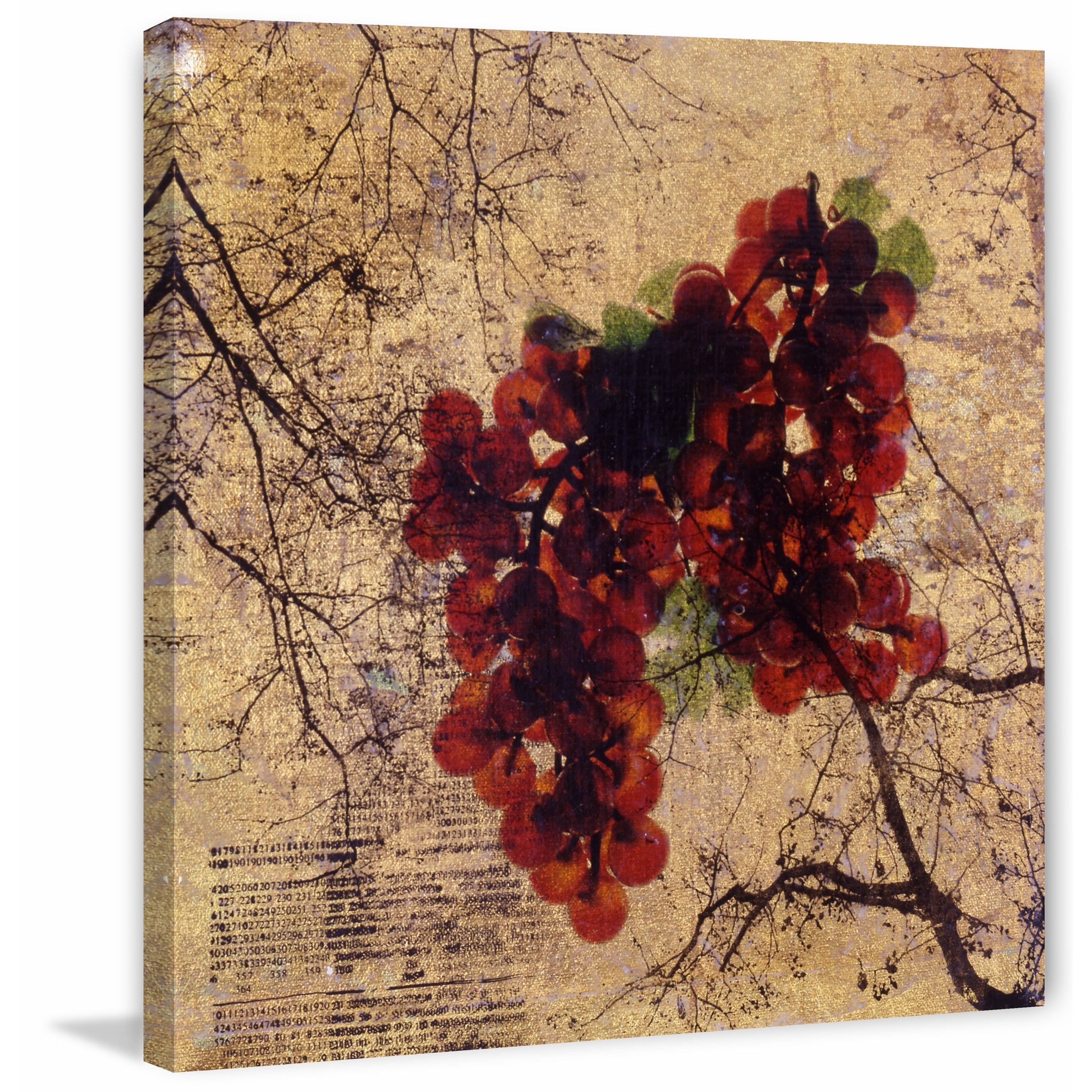 "Grapes on a Vine" Painting Print on Wrapped Canvas
