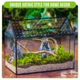 thumbnail image 4 of NCYP House Shape Glass Terrarium with Acrylic Lid - 10.2x5.9x8.2 Inches Large Geometric Box for Snails, Ferns, Succulents, Air Plants, Indoor Tabletop Decor, Handmade (Terrarium Only), 4 of 9