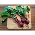thumbnail image 3 of Detroit Dark Red Medium Top Beet Seeds - Made in USA, Ships from Iowa. (250 Seeds), 3 of 3