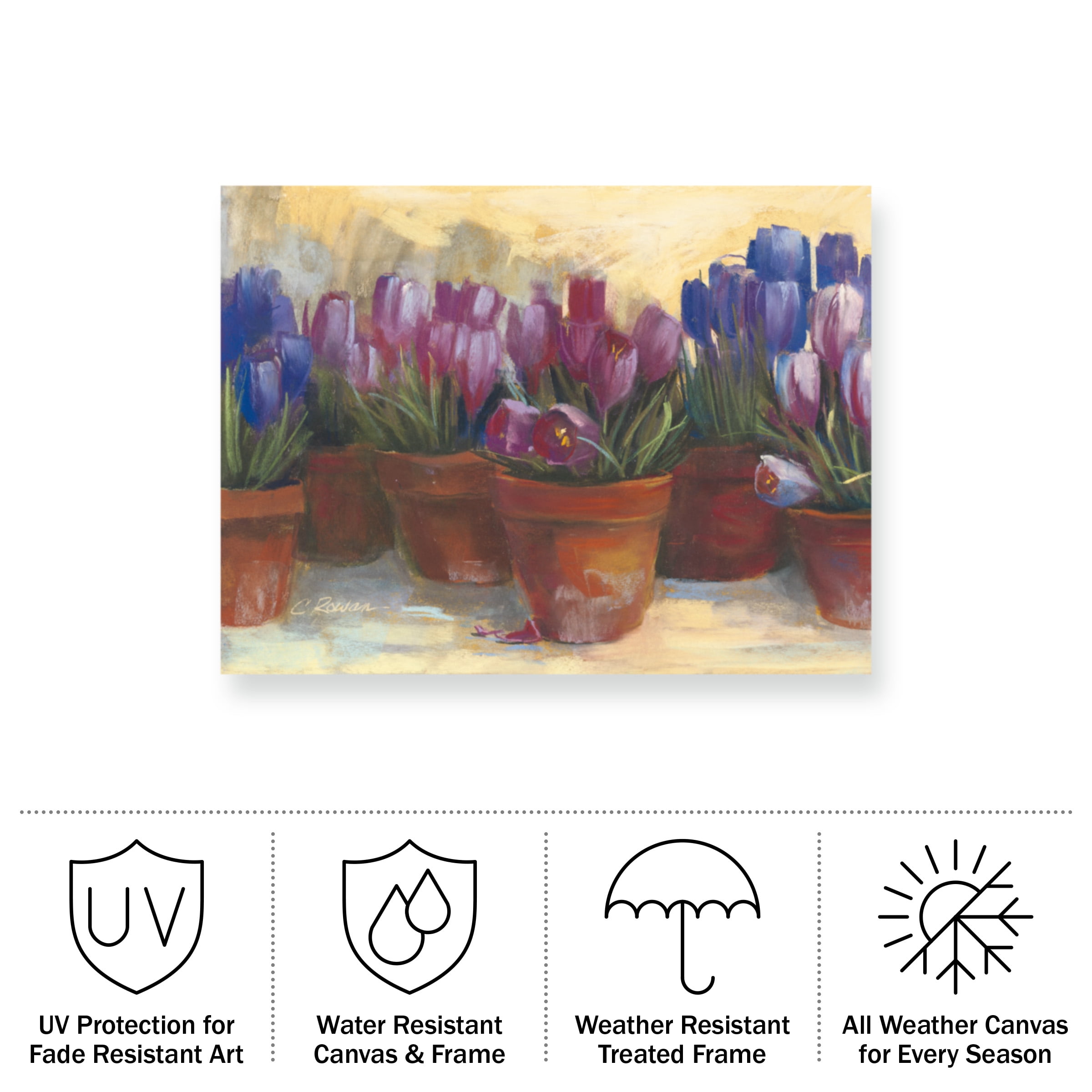 Carol Rowan 'Spring Crocus' Outdoor Canvas