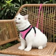 thumbnail image 4 of Adjustable Soft Mesh Cat Walking Harness and Drawstring Escape Set Ideal for Small Cats and Puppies Lightweight Vest for Outdoor and Indoor Use, 4 of 4